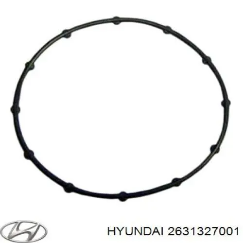 Anillo de sellado entre la carcasa del filtro de aceite y el intercambiador de calor Hyundai/Kia 2631327001 precio, desde 8,00 EUR
