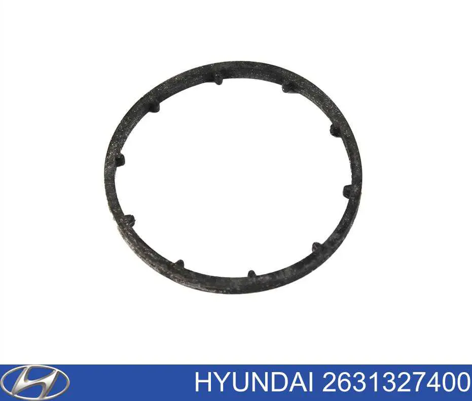 Junta tórica entre la carcasa del filtro de aceite y el intercambiador de calor para Hyundai Sonata (NF)