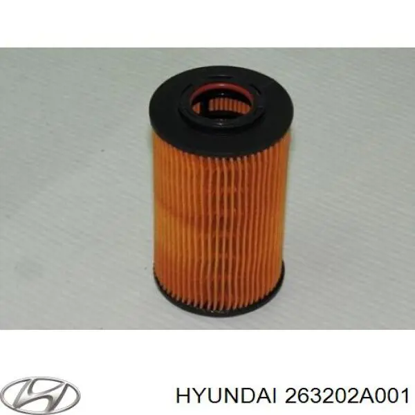 Filtro de aceite motor Hyundai/Kia 263202A001