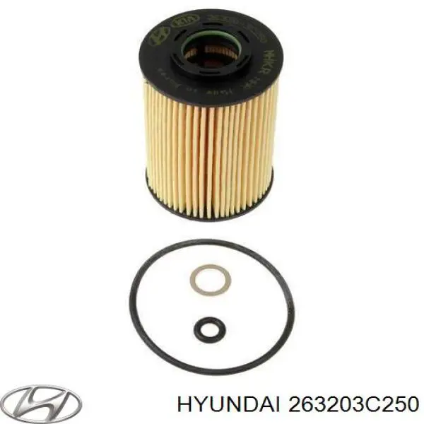 Filtro de aceite motor Hyundai/Kia 263203C250