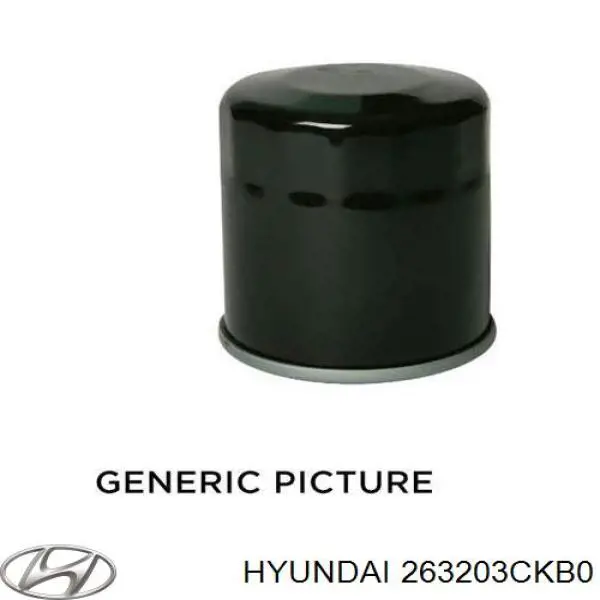 263203CKB0 Hyundai/Kia filtro de aceite