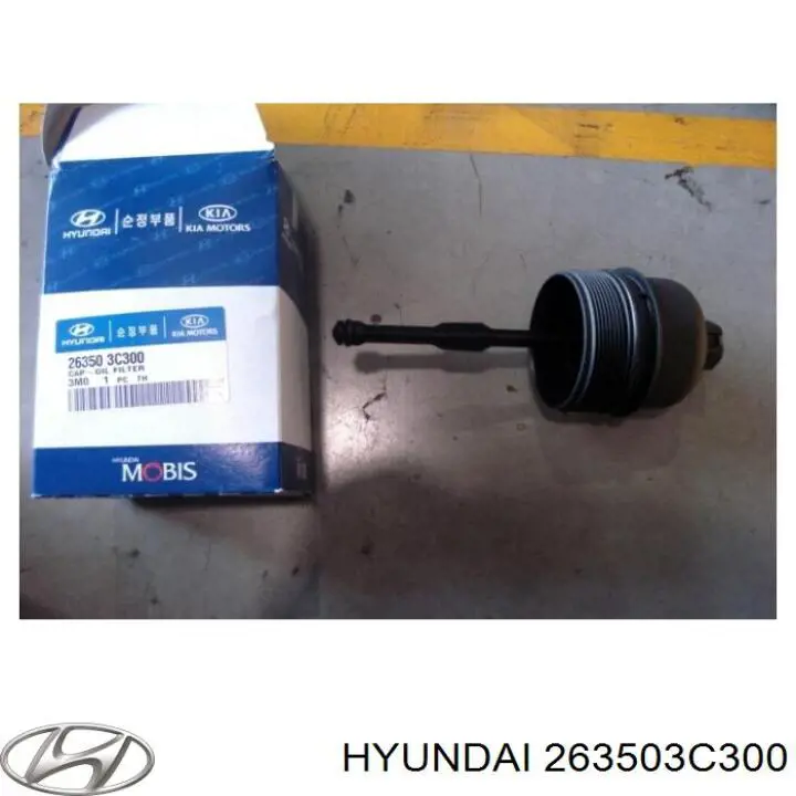 263503C300 Hyundai/Kia