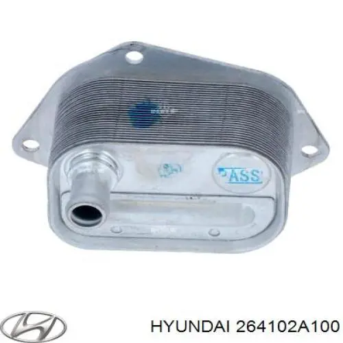 264102A100 Hyundai/Kia radiador de aceite