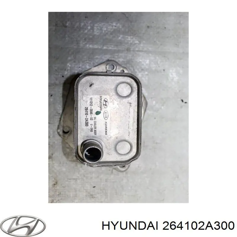 Radiador de aceite debajo del filtro Hyundai/Kia 264102A300 precio, desde 38,73 EUR