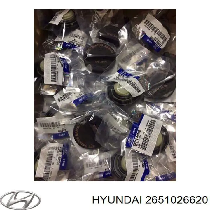 Tapon de aceite  Hyundai/Kia 2651026620 precio, desde 7,53 EUR