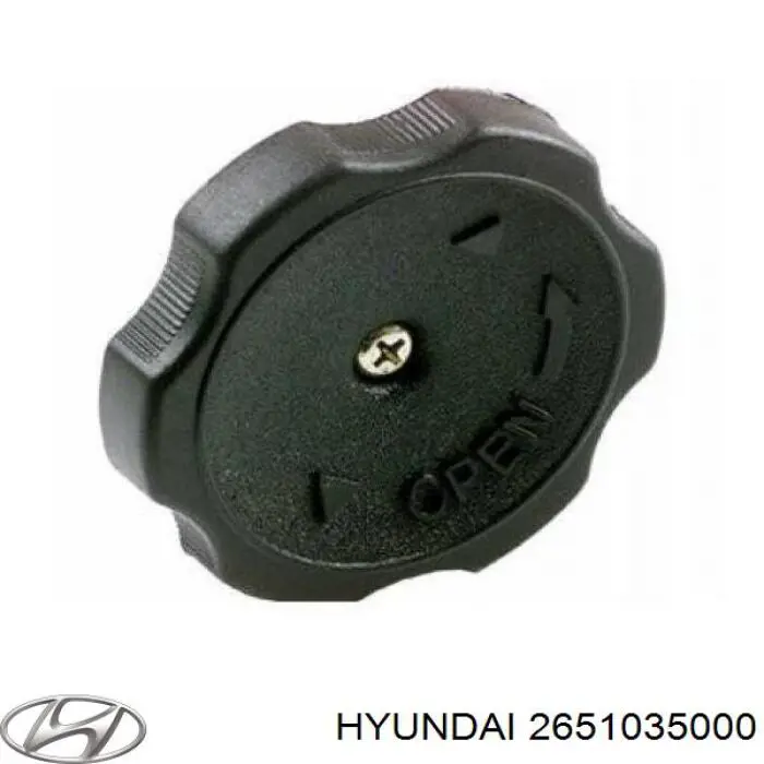2651035000 Hyundai/Kia Tapa, tubuladura de relleno de aceite