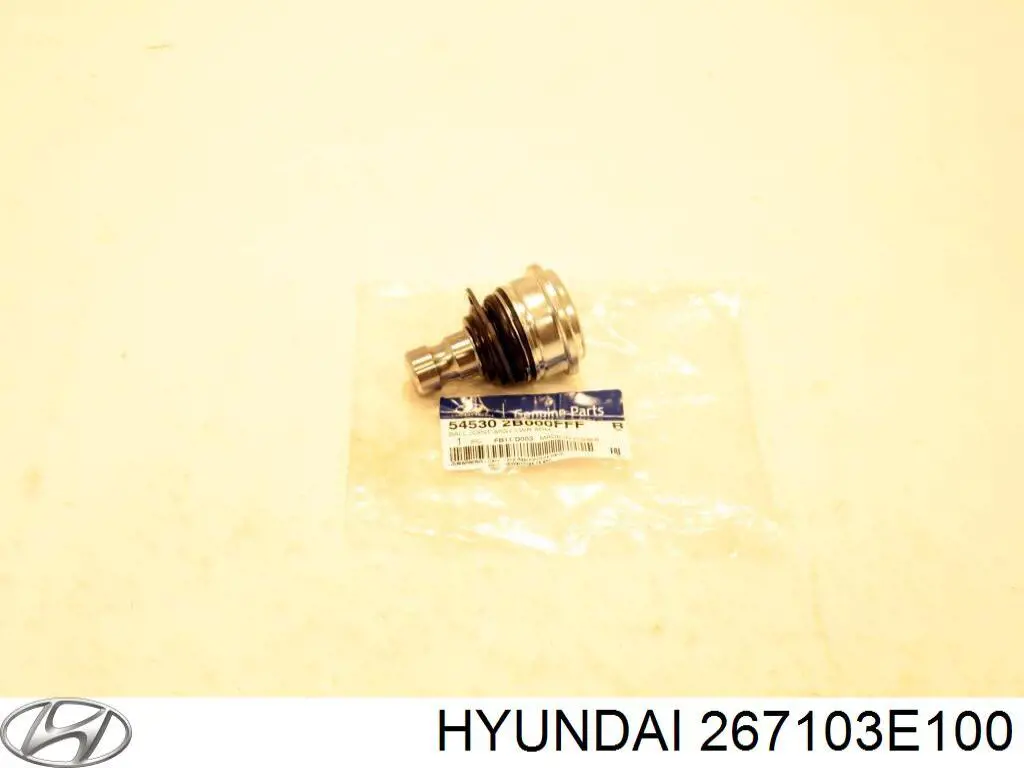 267103E100 Hyundai/Kia