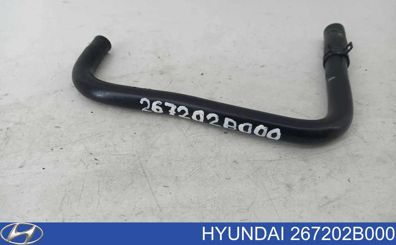 267202B000 Hyundai/Kia