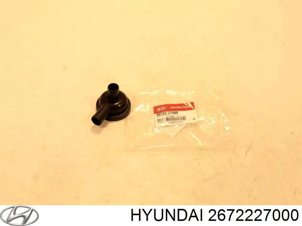 Válvula, ventilaciuón cárter para Hyundai Santa Fe (SM)