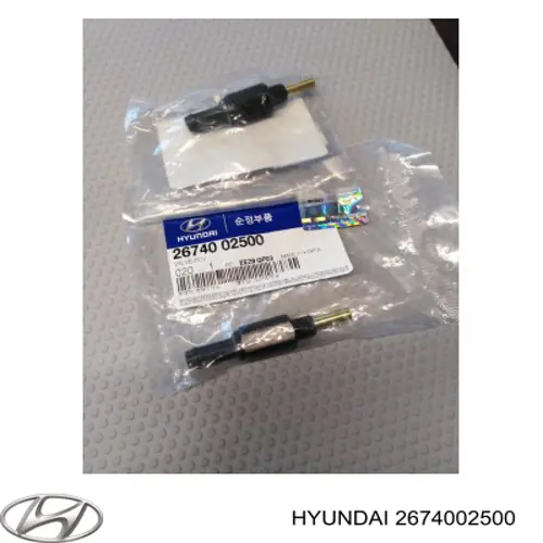 2674002500 Hyundai/Kia Válvula de ventilación del cárter
