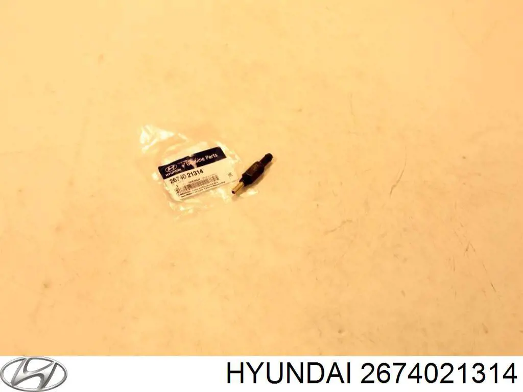 Válvula, ventilaciuón cárter para Hyundai Tucson (JM)