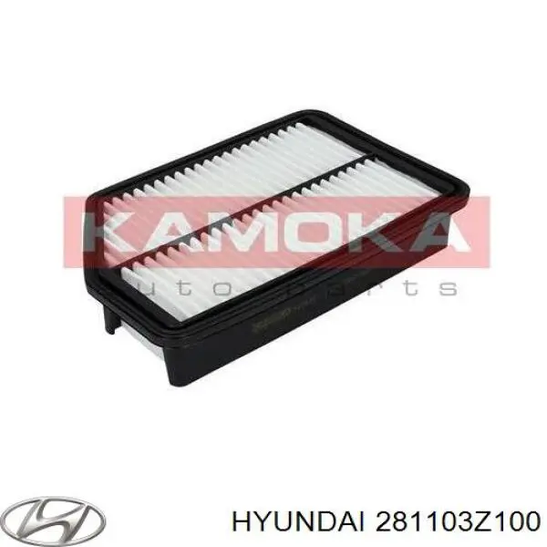 281103Z100 Hyundai/Kia caja del filtro de aire