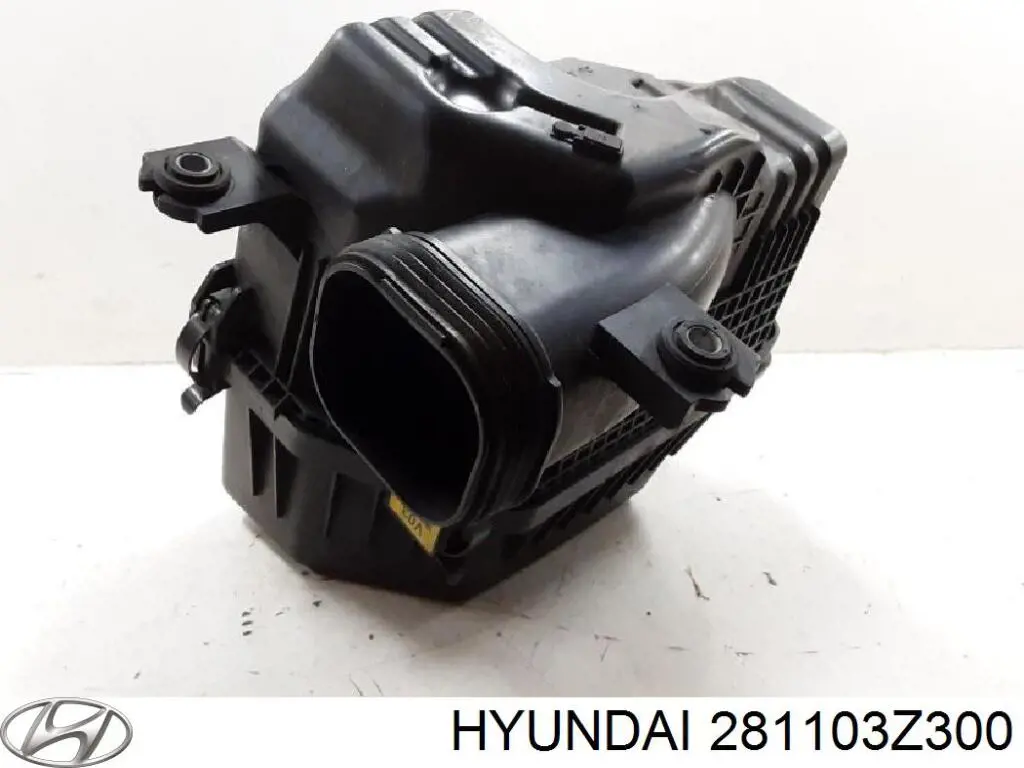 Caja del filtro de aire Hyundai/Kia 281103Z300