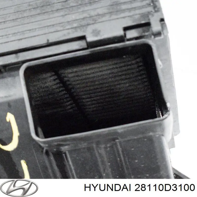 Caja del filtro de aire Hyundai/Kia 28110D3100