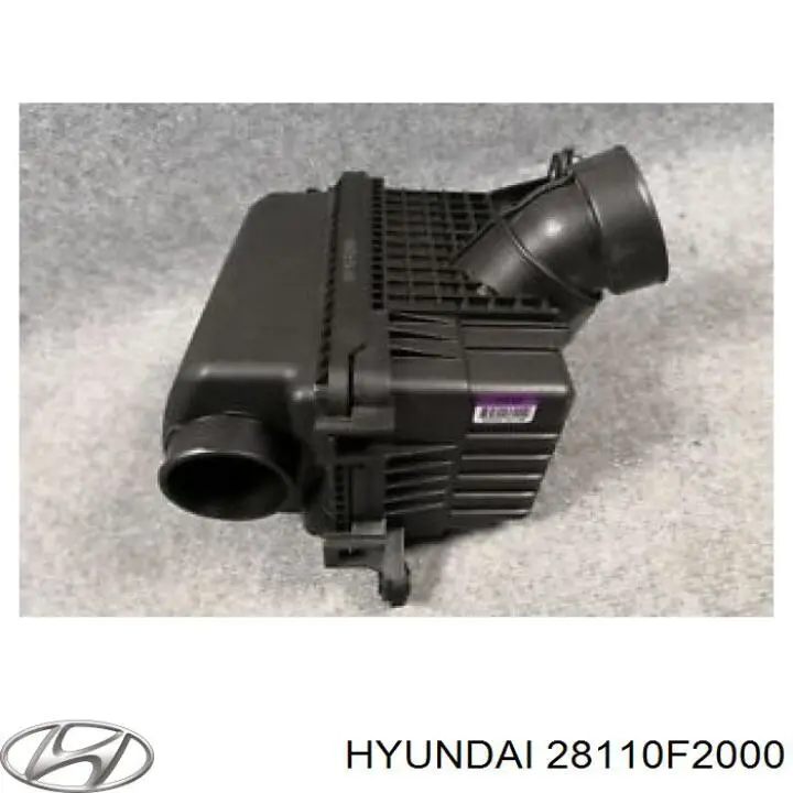 Caja del filtro de aire Hyundai/Kia 28110F2000 precio, desde 30,55 EUR