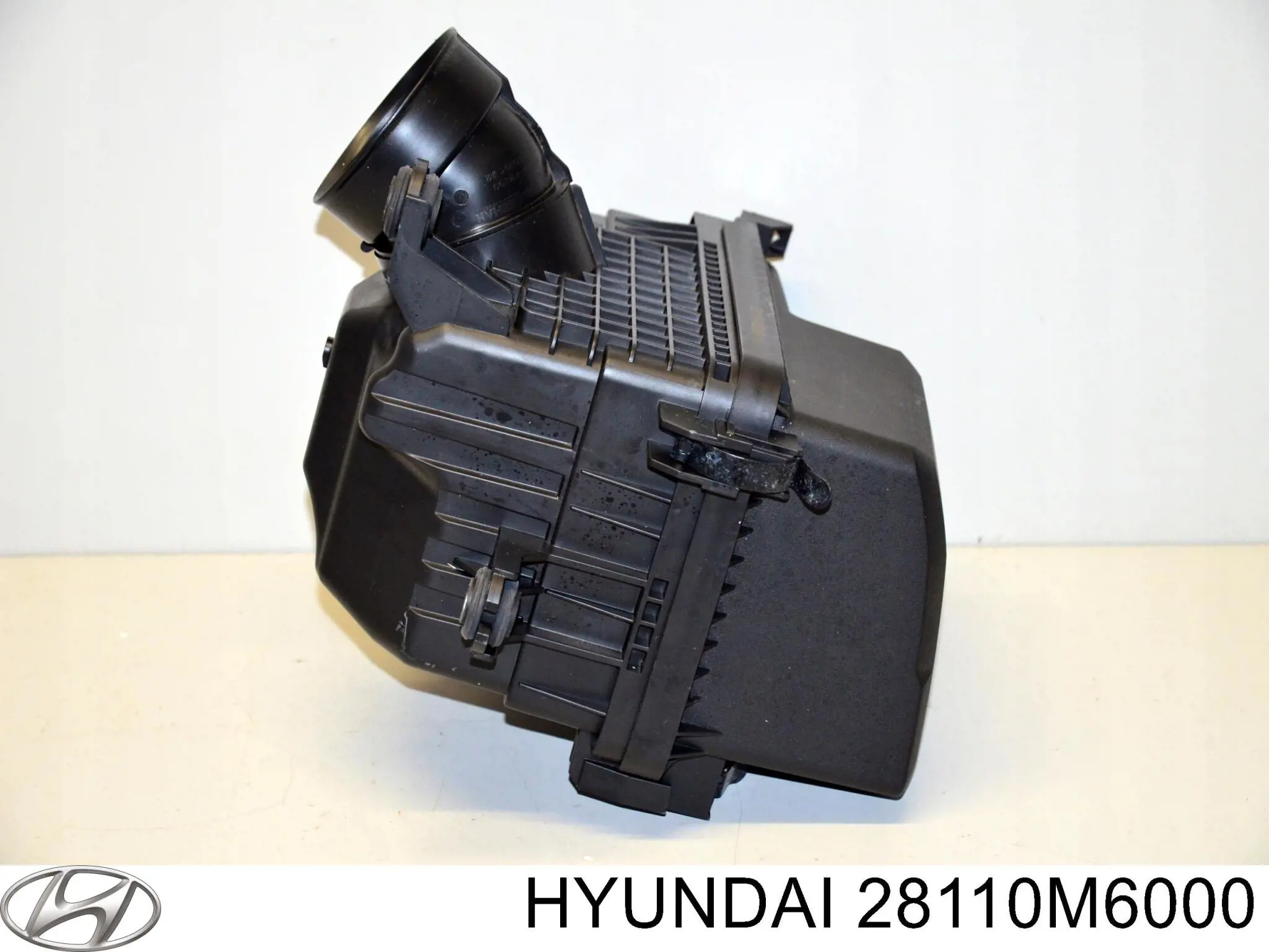 28110M6000 Hyundai/Kia