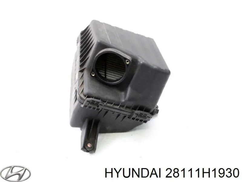 Casco de filtro de aire, parte superior Hyundai Terracan (HP)