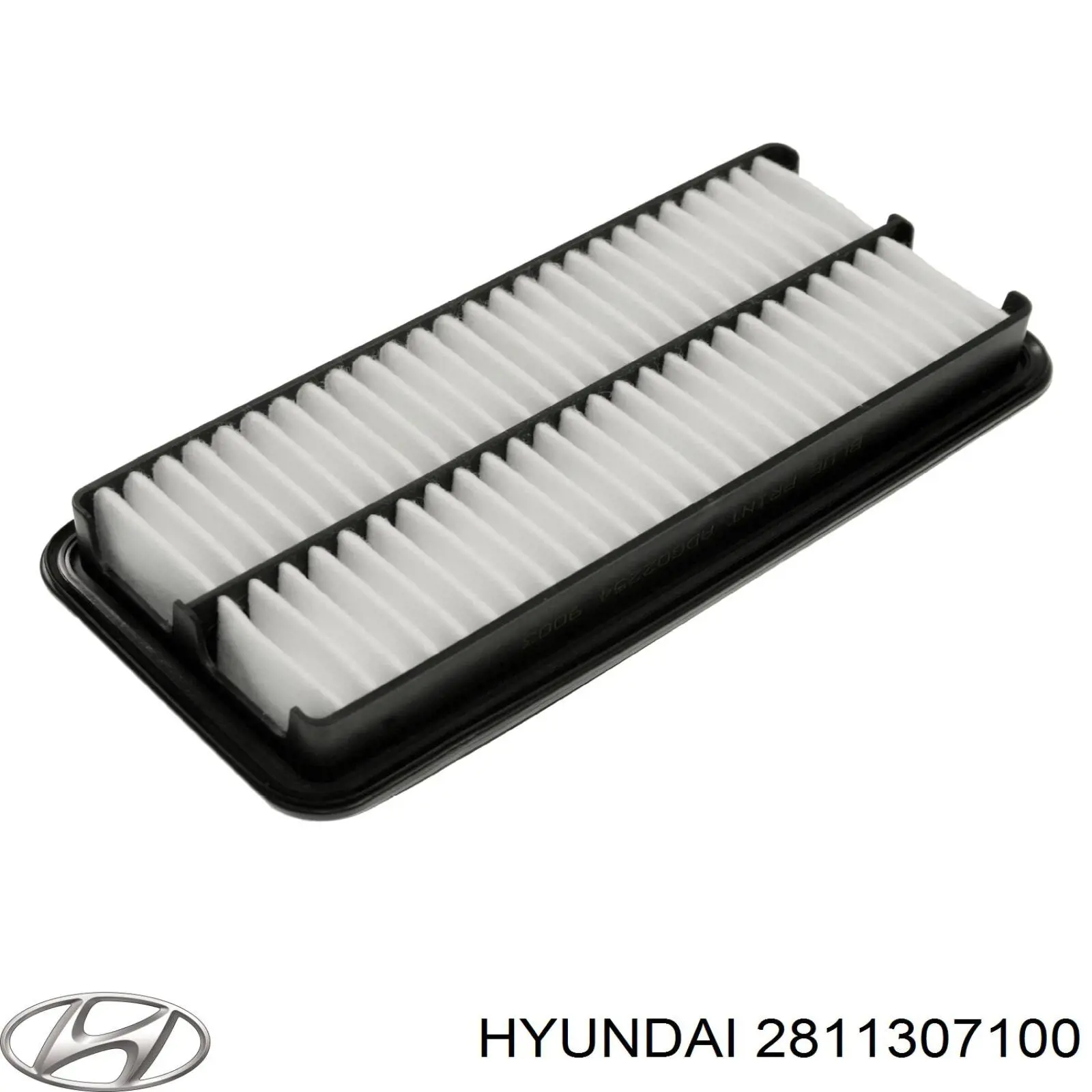 Filtro aire Hyundai/Kia 2811307100