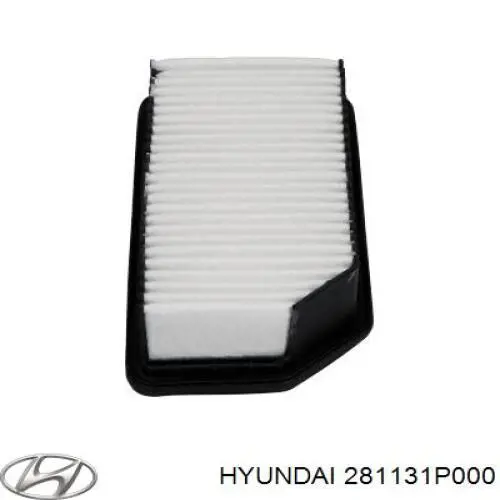 Filtro aire Hyundai/Kia 281131P000