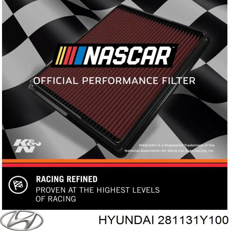 Filtro aire Hyundai/Kia 281131Y100