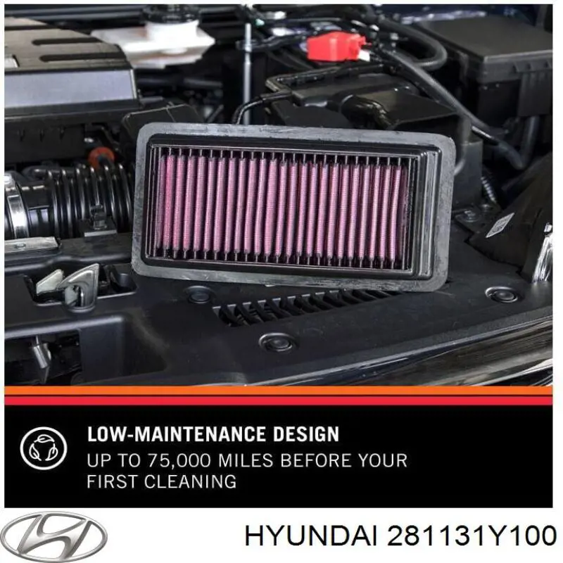 281131Y100 Hyundai/Kia Filtro de aire de motor