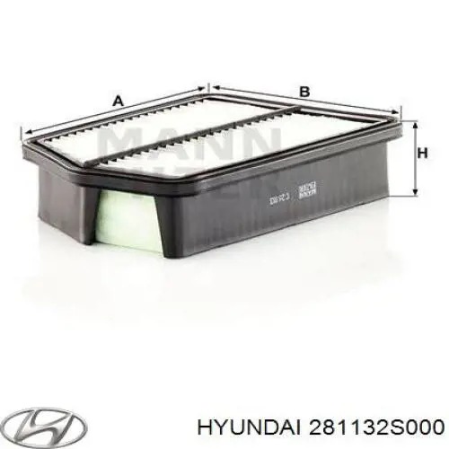 Filtro aire Hyundai/Kia 281132S000