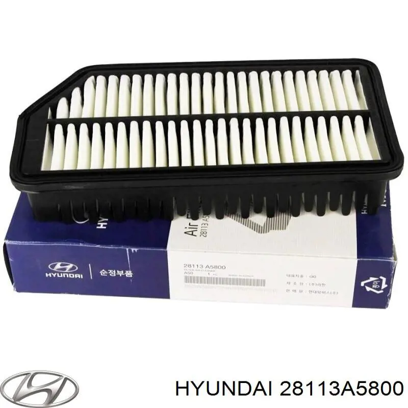 Filtro aire Hyundai/Kia 28113A5800