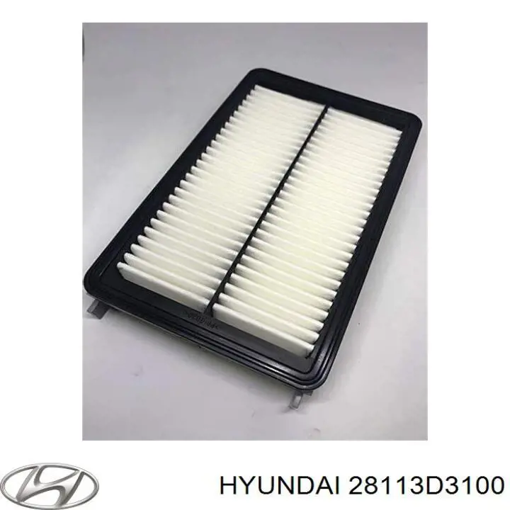 Filtro aire Hyundai/Kia 28113D3100