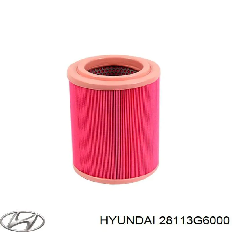 Filtro de aire 28113G6000 Hyundai/Kia