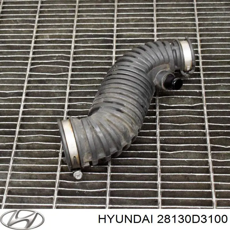 Conducto de aire, salida del filtro de aire Hyundai/Kia 28130D3100 precio, desde 68,24 EUR