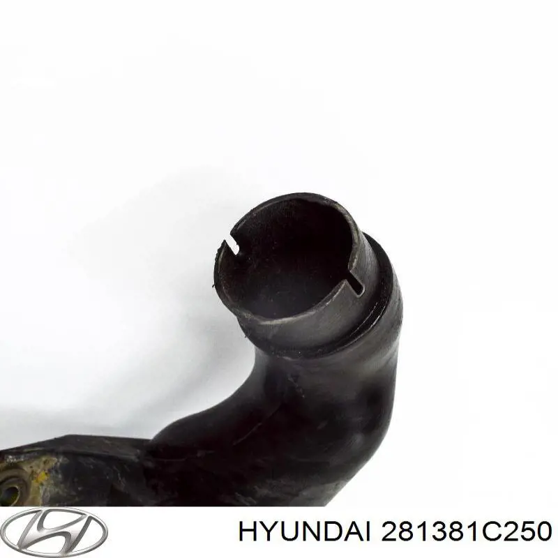 281381C250 Hyundai/Kia