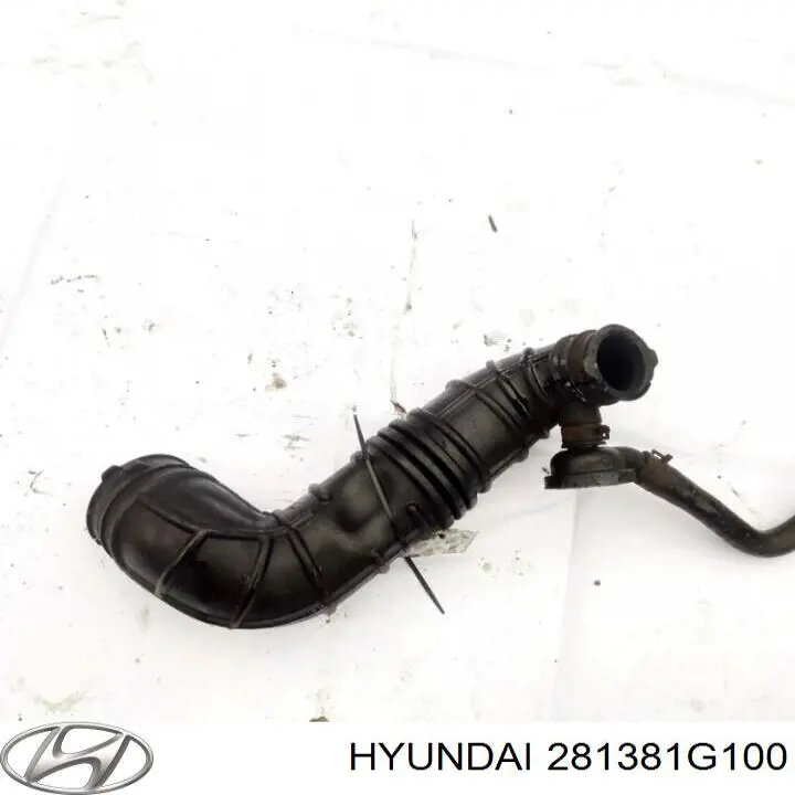 281381G100 Hyundai/Kia