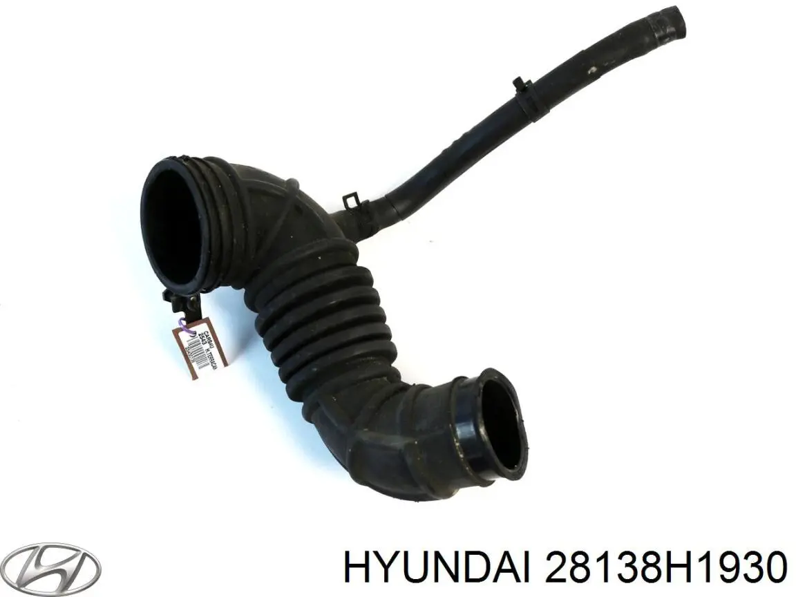 Conducto de aire, salida del filtro de aire Hyundai/Kia 28138H1930 precio, desde 55,18 EUR