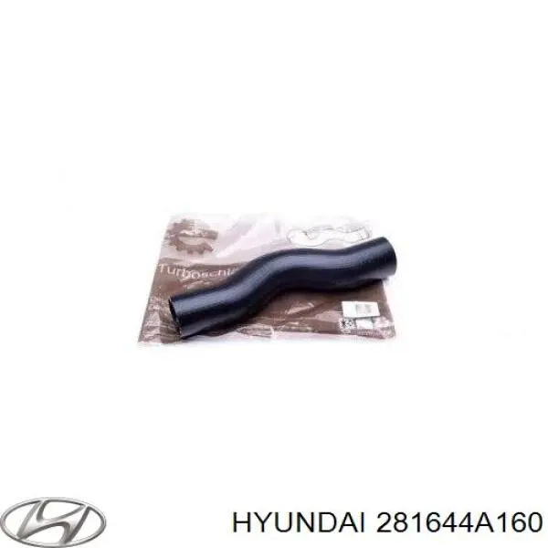 Manguera del intercooler Thermotec DC0305TT precio, desde 33,55 EUR
