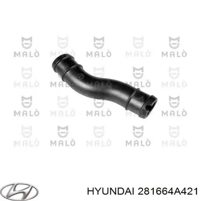 281664A421 Hyundai/Kia tubo flexible de aire de sobrealimentación izquierdo