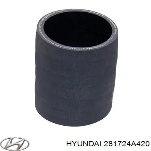 281724A420 Hyundai/Kia tubo flexible de aspiración, cuerpo mariposa