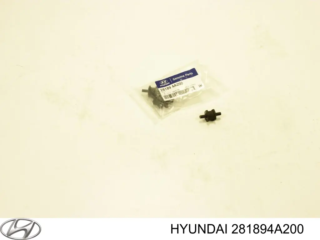 281894A200 Hyundai/Kia tornillo