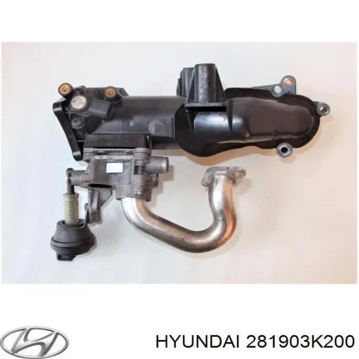 281903K200 Hyundai/Kia resonador, filtro de aire