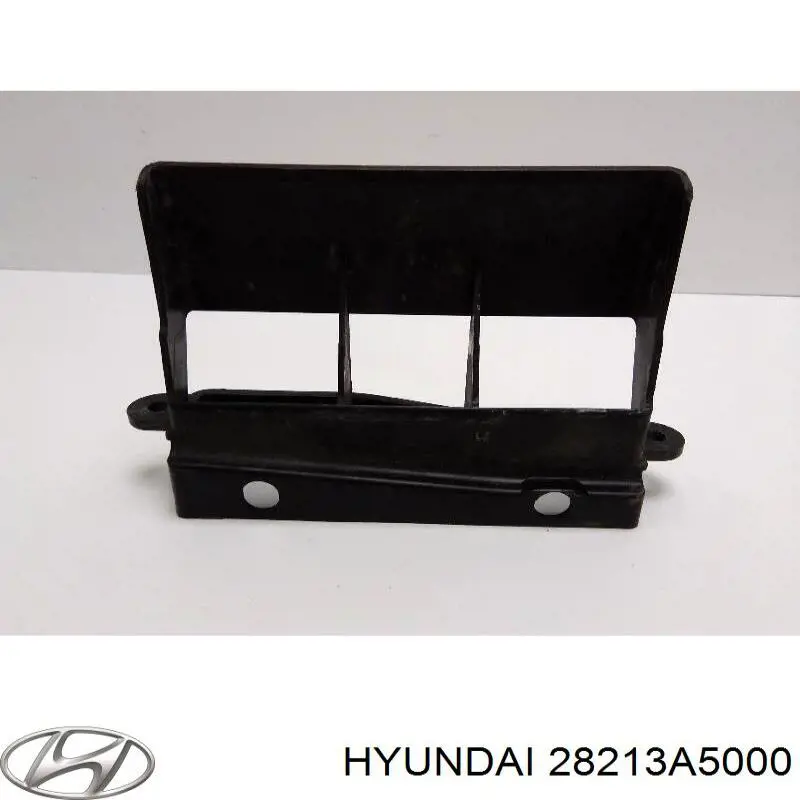 Entrada del filtro de aire Hyundai/Kia 28213A5000 precio, desde 24,46 EUR
