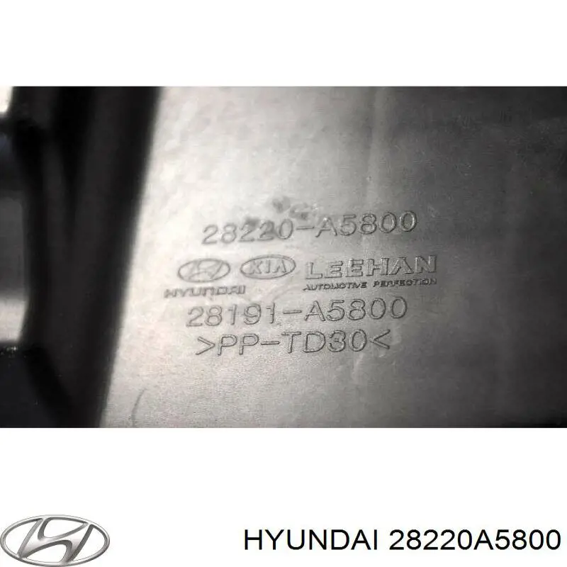 28220A5800 Hyundai/Kia Tubo flexible de aspiración, filtro de aire