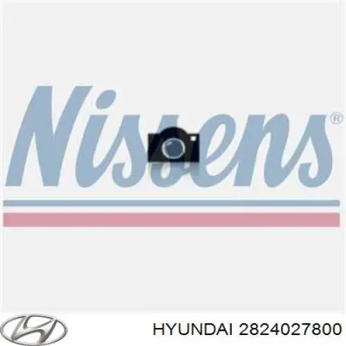 Tubo de suministro de aceite a la turbina Hyundai/Kia 2824027800 precio, desde 39,25 EUR