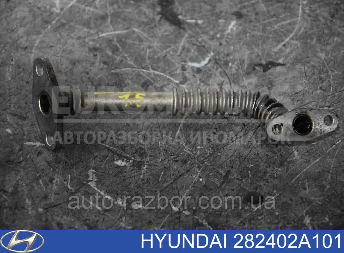 282402A101 Hyundai/Kia