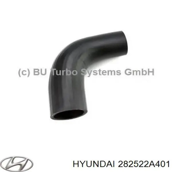 282522A401 Hyundai/Kia