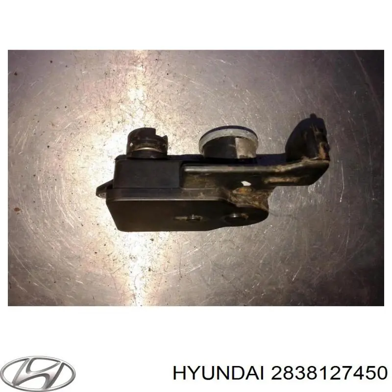 Válvula (actuador) del accionamiento de las mariposas del colector de admisión Hyundai/Kia 2838127450