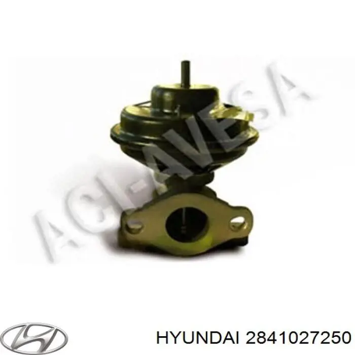 EGR Hyundai/Kia 2841027250