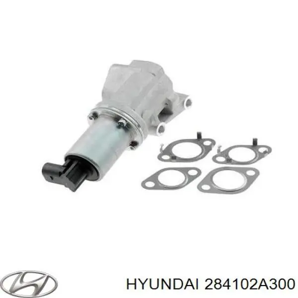 Válvula EGR 284102A300 Hyundai/Kia