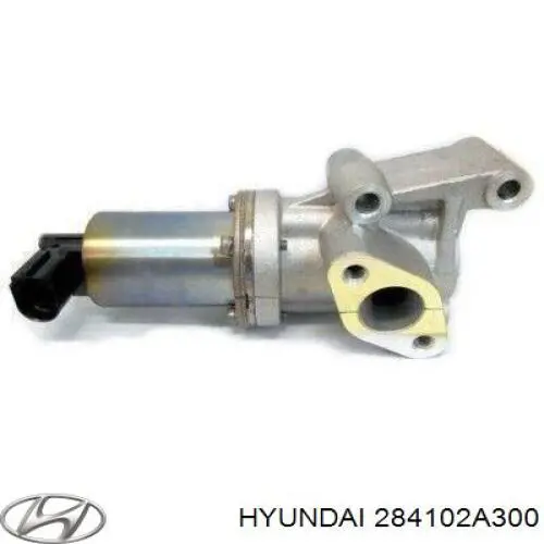 EGR Hyundai/Kia 284102A300
