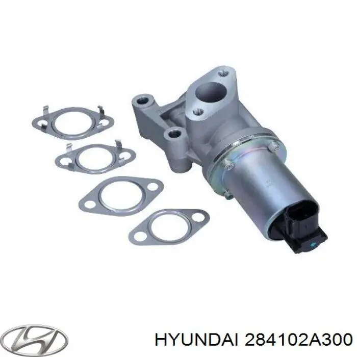 284102A300 Hyundai/Kia Válvula EGR
