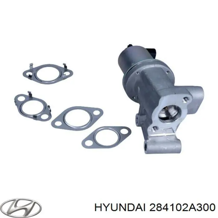 Válvula EGR 284102A300 Hyundai/Kia