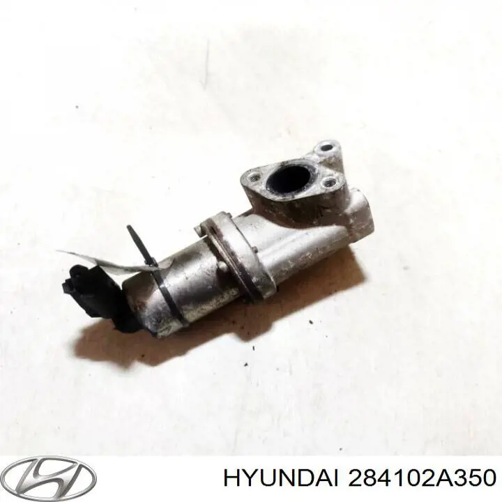 EGR Hyundai/Kia 284102A350